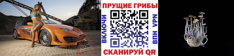 Купить где  Обь  Псилоцибиновые грибы ЛСД 