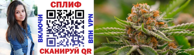Купить  Обь  Бошки Шишки семена 